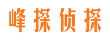 大方峰探私家侦探公司